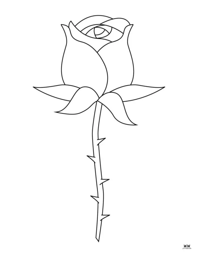 Rosa