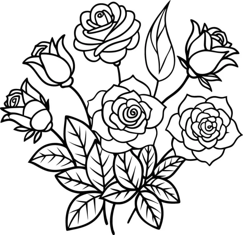 Rosa