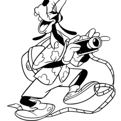 Pateta