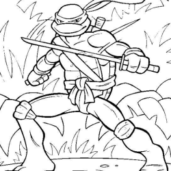 Tartarugas Ninja
