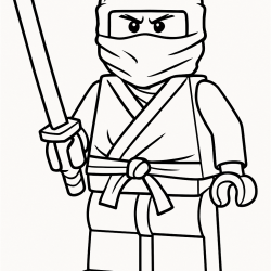 Ninja