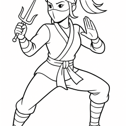 Ninja