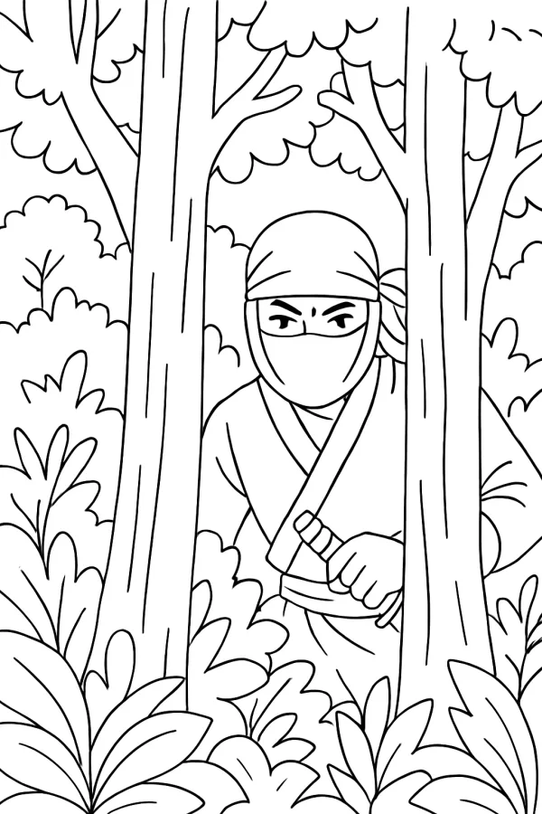 Ninja