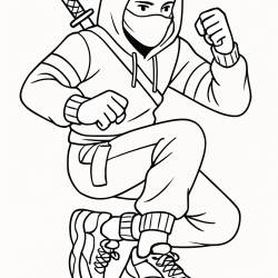 Ninja