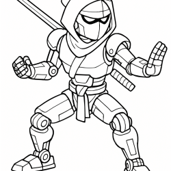 Ninja
