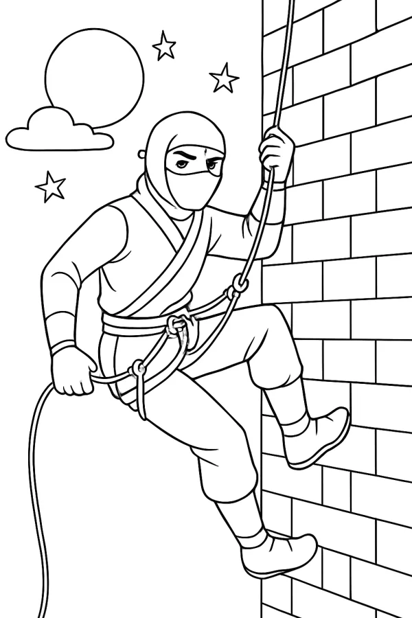 Ninja