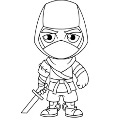 Ninja