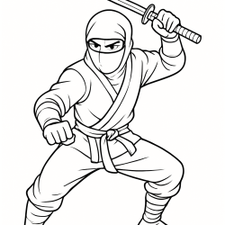 Ninja
