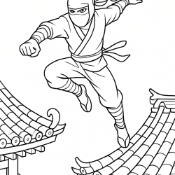 Ninja