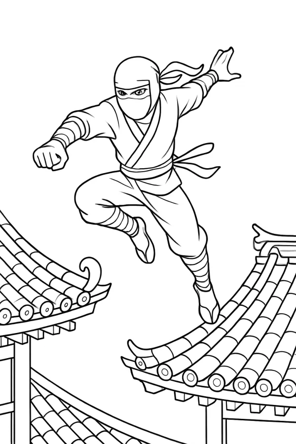 Ninja