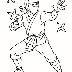 Ninja