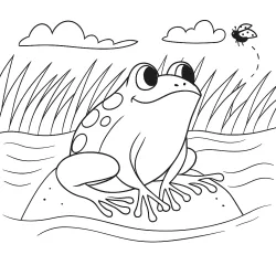 Sapo para imprimir e colorir