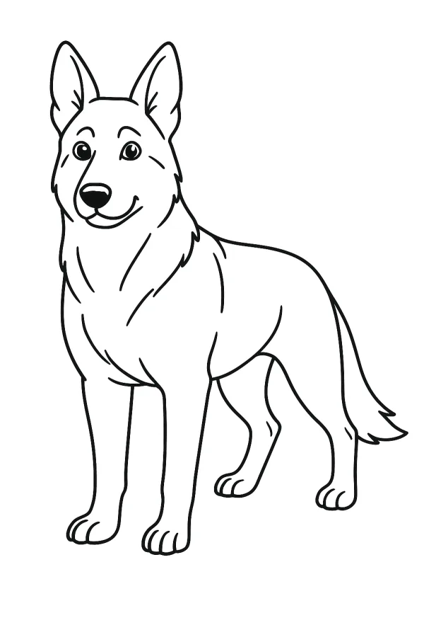 Cachorro