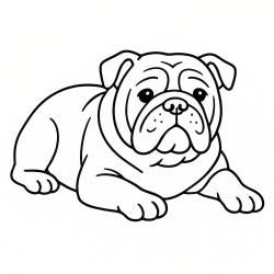 Cachorros