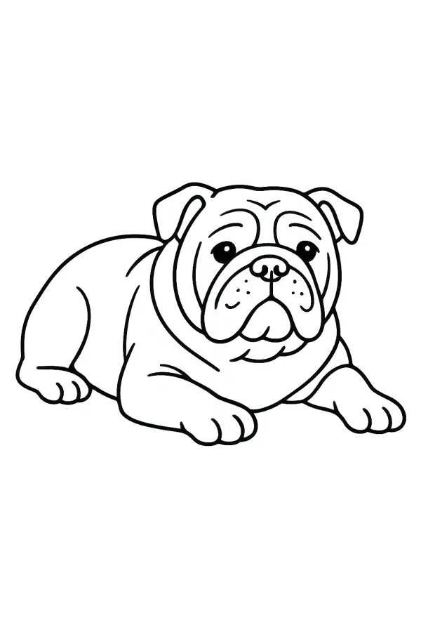 Cachorro