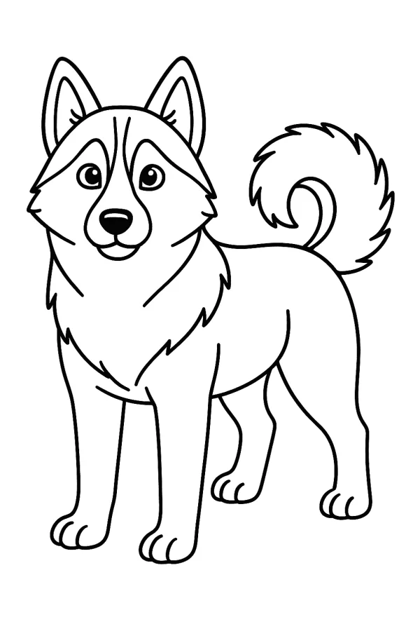 Cachorro