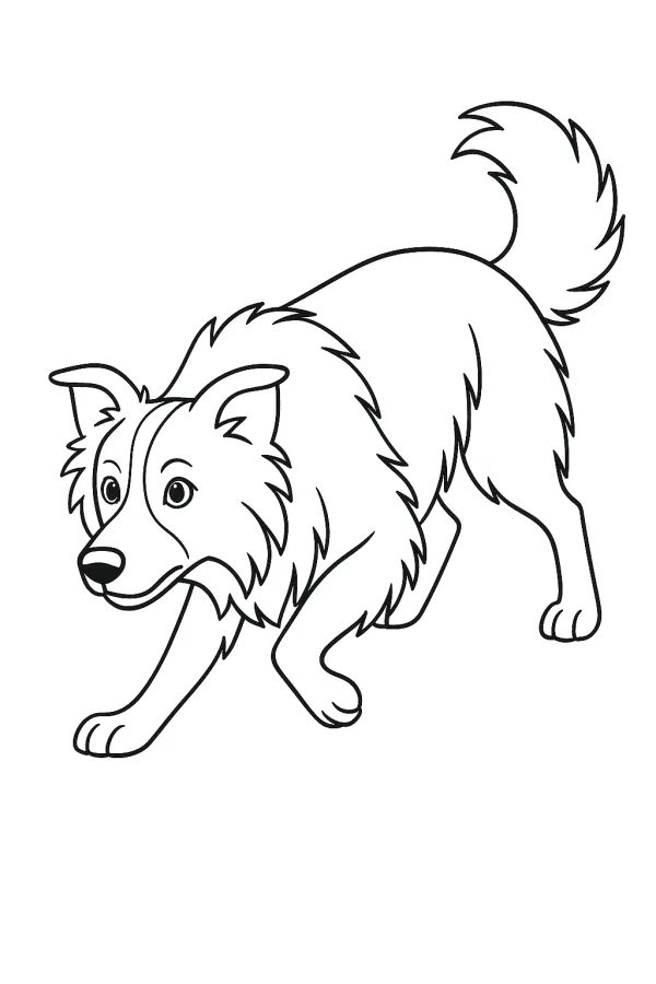 Cachorro