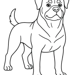 Cachorro para imprimir e colorir
