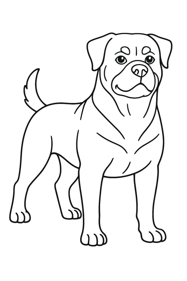 Cachorro