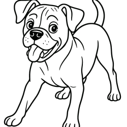 Cachorros