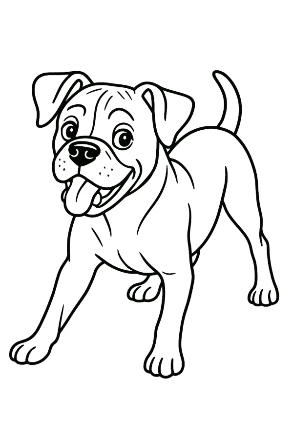 Cachorro