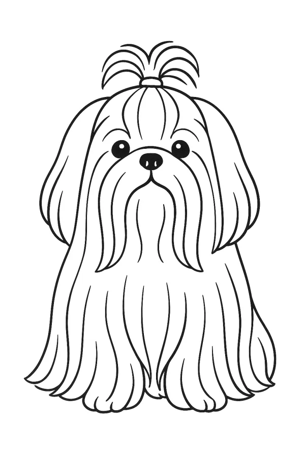 Cachorro