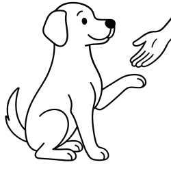 Cachorros