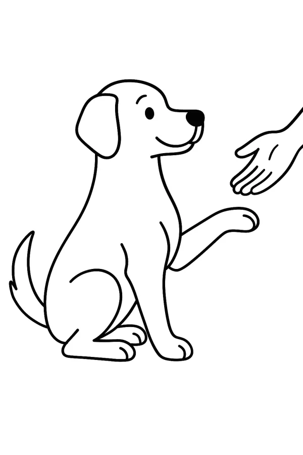 Cachorro