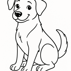 Cachorros