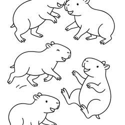 Capivara para imprimir e colorir