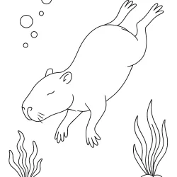 Capivara para imprimir e colorir