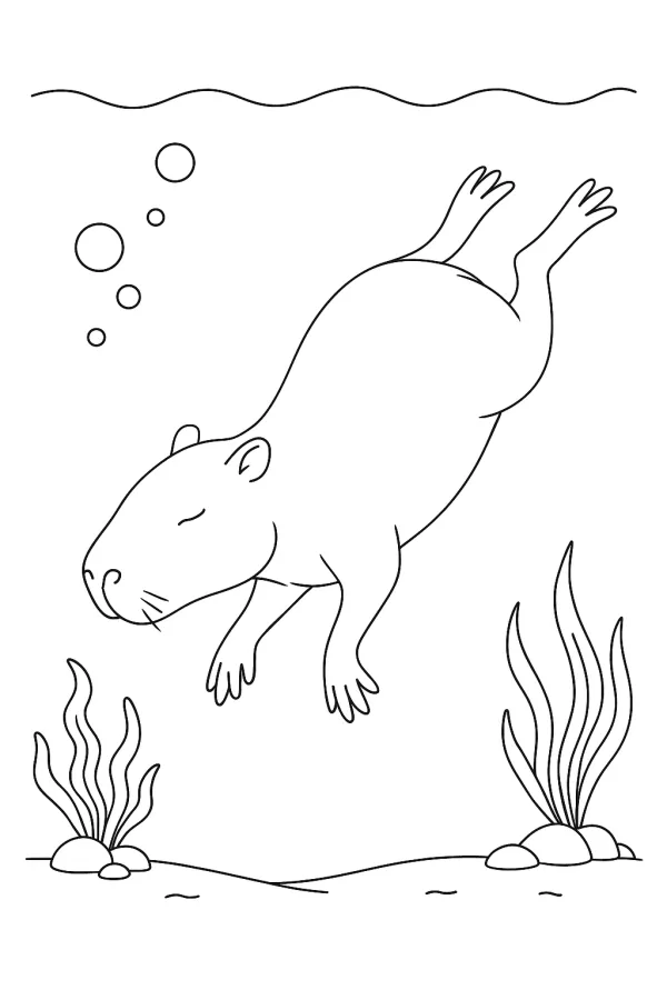 Capivara