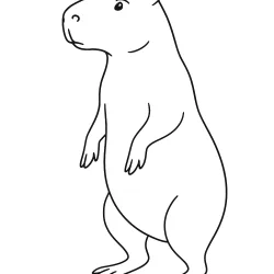 Capivara para imprimir e colorir