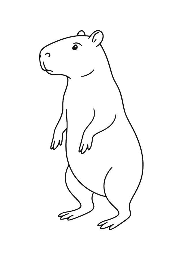 Capivara