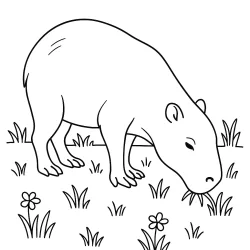Capivara para imprimir e colorir