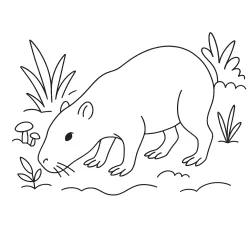 Capivara para imprimir e colorir