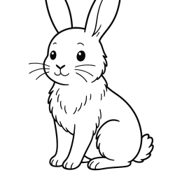 Coelhos