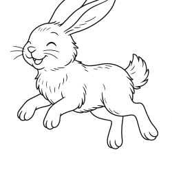 Coelhos
