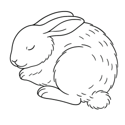 Coelhos