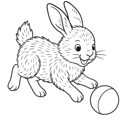 Coelhos