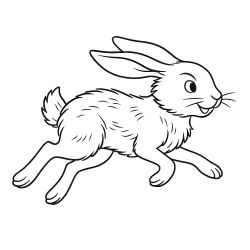 Coelhos