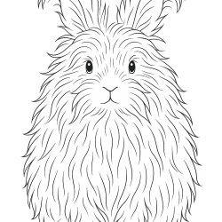Coelhos
