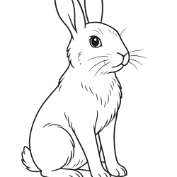 Coelhos