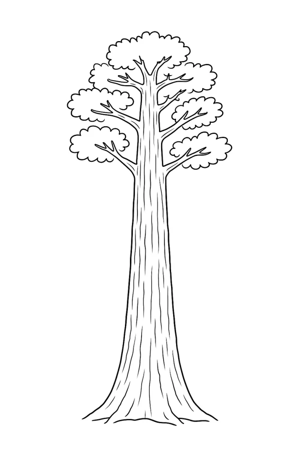 Árvore