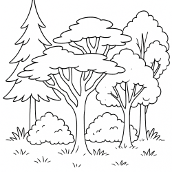 Árvores