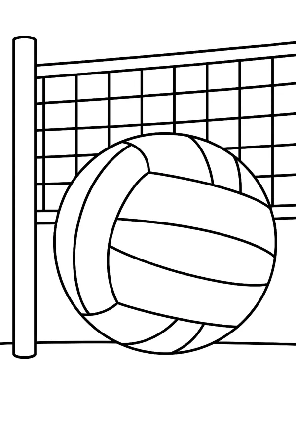 Bola