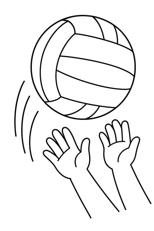 Bola