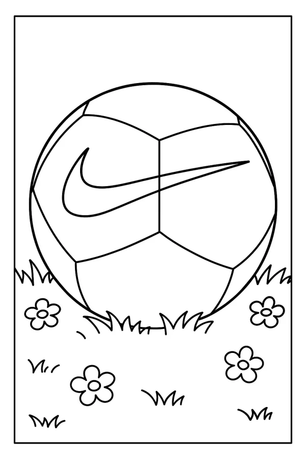 Bola