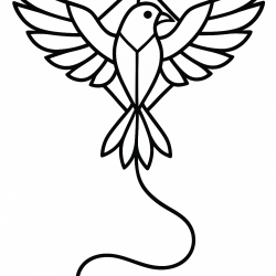 Pipa