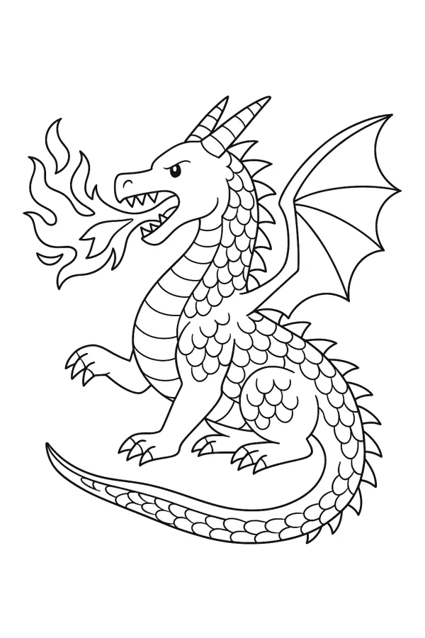Dragão